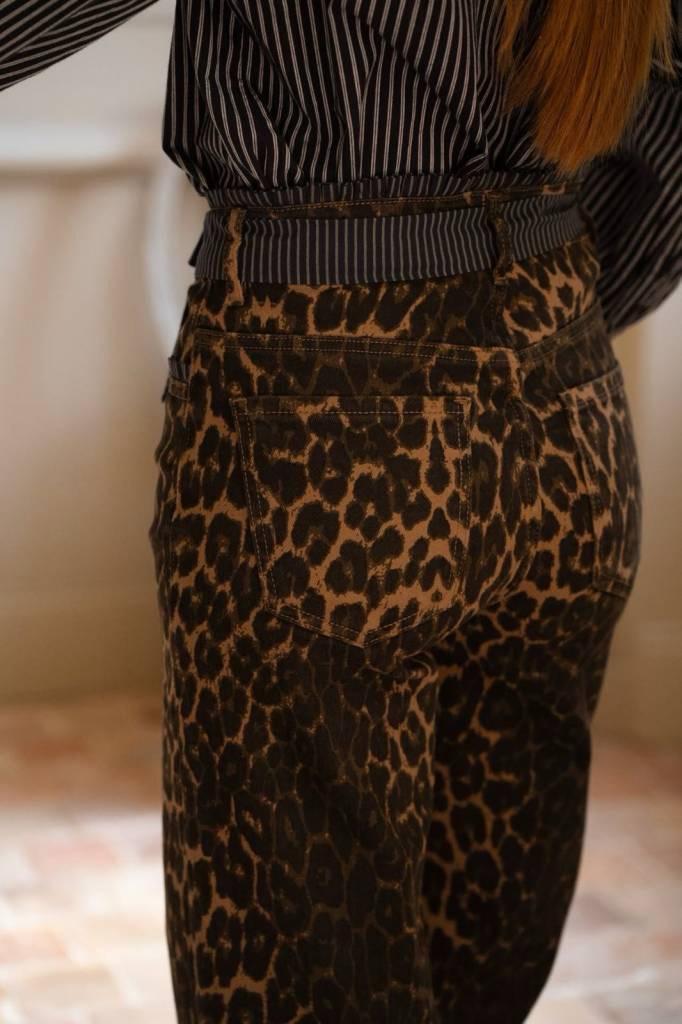Calças Animal Print - Image 3